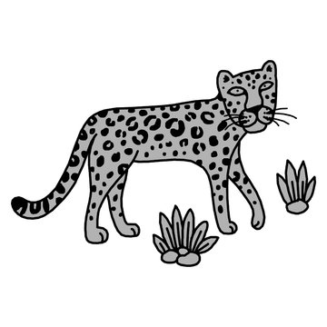 illustration of leopard, graphic vector animal