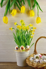 Easter eggs in baskets with narcissus and tulips