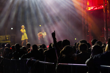 Fototapeta na wymiar crowd at concert - summer music festival