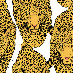 illustration of leopard, graphic  animal