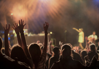 crowd at concert - summer music festival