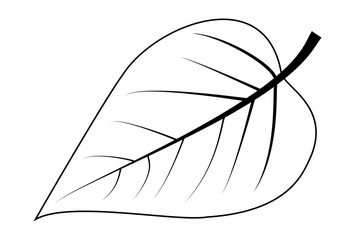 lilac - leaf vector illustration , 