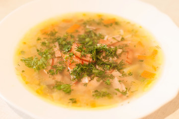 Soup with meat and cropped dill and parsley