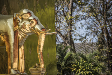 dettaglio elefante in un tempio buddista in Thailandia