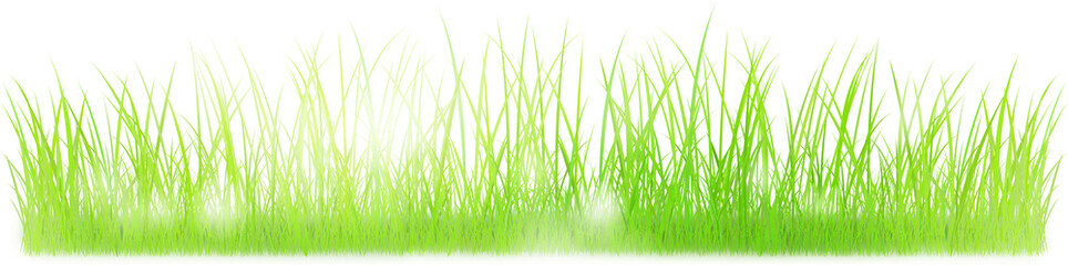 gras sonne banner highres bokeh