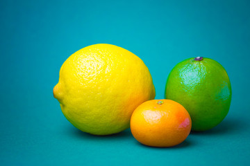 Collection fresh citrus fruits