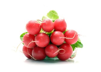 Bunch of Red Radish, Raphanus sativus