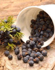 Juniper berries on a wooden background