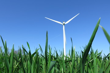 Obraz premium parco eolico, energia del vento