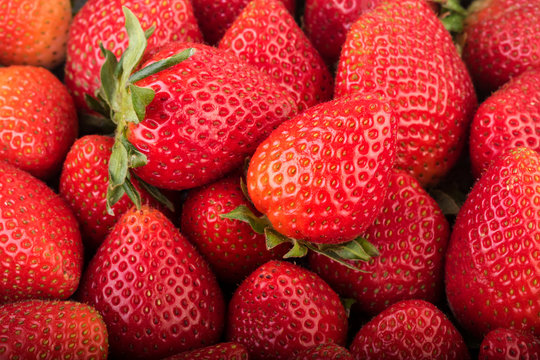 Strawberry background. Ripe strawberies closeup