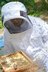 Man working on beehive