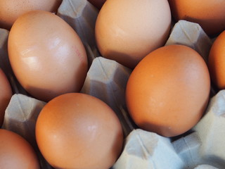 Bio-Eier in der Palette