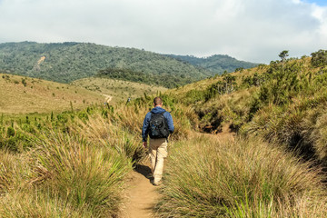 Man hiking in scenic savanna path in Sri Lanka