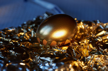 The Golden egg , a symbol of wealth and investment, rests on the foil. Brilliant picture