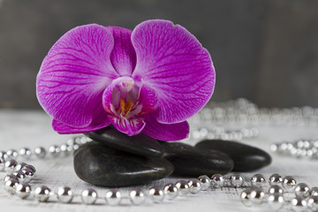 Obraz na płótnie Canvas wellbeing concept with hot stones and pink orchid