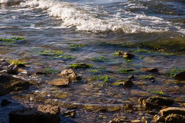 mare in puglia