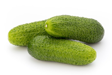 The first spring ecologically cucumbers.