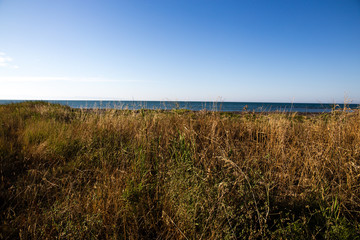 mare in puglia
