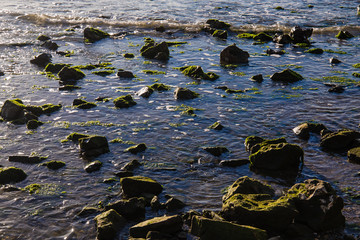 mare in puglia