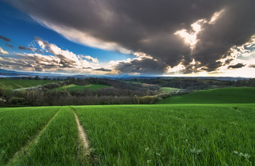 Chemin dans la prairie