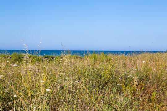 macchia mediterranea , Puglia