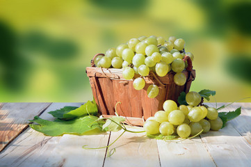 Basket of ripe grapes on a natural blurred background.