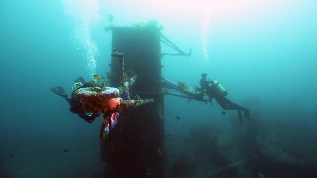 Scuba divers exploring HMNZS Canterbury shipwreck, New Zealand