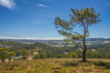 Obraz premium Da Lat Vietnam View greenhouse