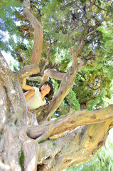 Fototapeta na wymiar 木登りを楽しむ女の子