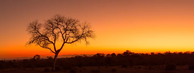Abwaschbare Fototapete Sunset Panorama © jamezphillips