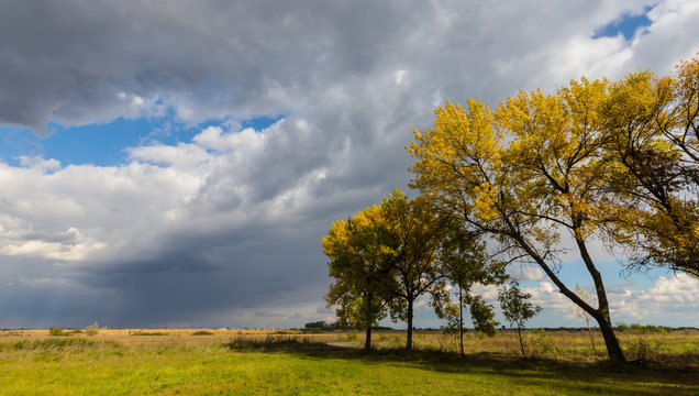 Bright autumn foliage in countryside region and storm clouds, in October