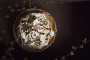 Apple and cinnamon tart