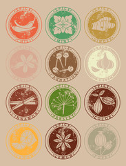 Collection of spices.Set labels