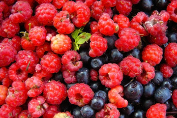 Raspberries and blueberries