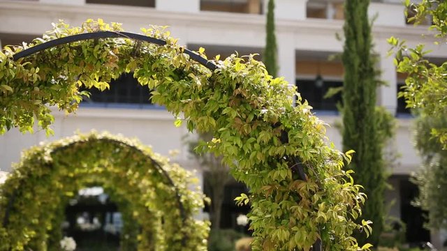 A metal arch overgrown with foliage. The territory of Regent Hotel in Porto Montenegro, Tivat, Montenegro.
