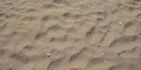 Beach sand background - top view