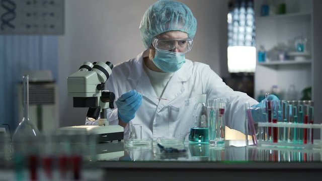 Scientists studying dna branches for additional information in cloning process