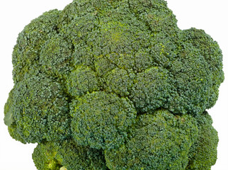 Raw Broccoli isolated on white background.
