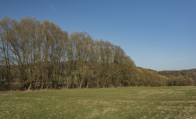 Meadow near Slavosov village