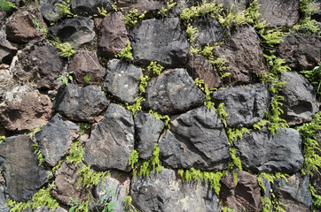 Wall made of stones with green plants inbetween