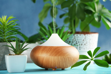 Obraz na płótnie Canvas Aroma oil diffuser and plants on table
