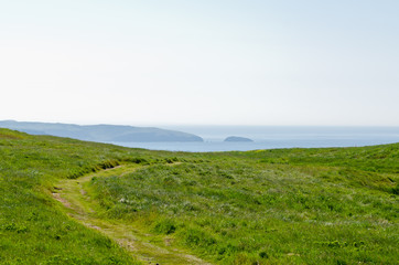 Fototapeta na wymiar The shore of Newfoundland