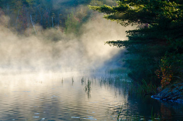 Obraz na płótnie Canvas Sunrise above forest lake