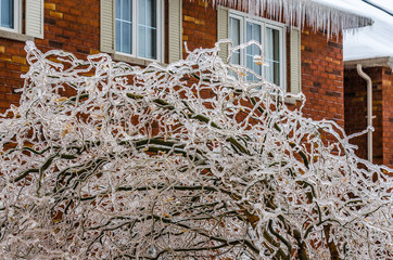 Naklejka premium freezing rain