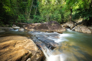 Naklejka na ściany i meble fresh scene waterfall and river in forest