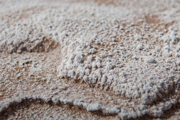 White Mineral Deposit on Desert Rocks