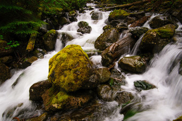 Fototapeta na wymiar Change Creek, King County, Washington, 2014