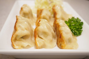 Gyoza dumplings with vegetables