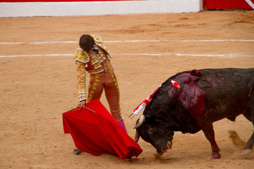 Corrida de Toros