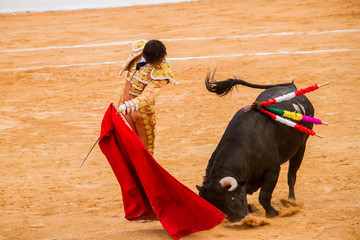 Corrida de Toros